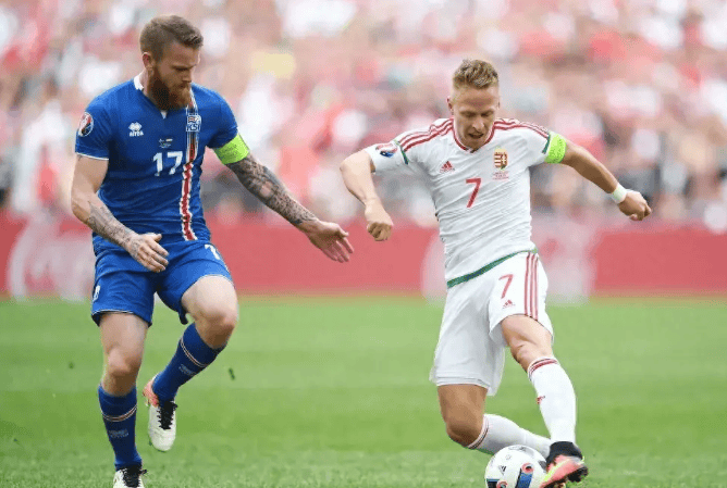 斯洛文尼亚队在欧洲杯比赛中实力抢眼